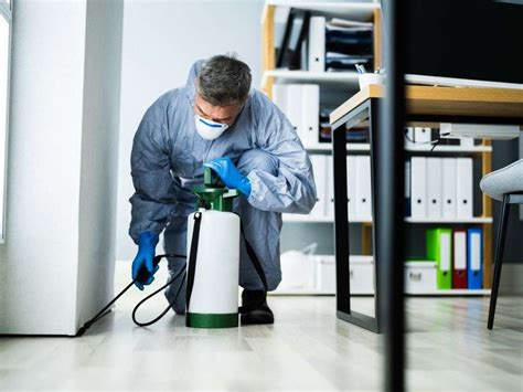 End of lease pest control brooklyn  Our list of the best pest control experts near you can help you tackle any pest problem